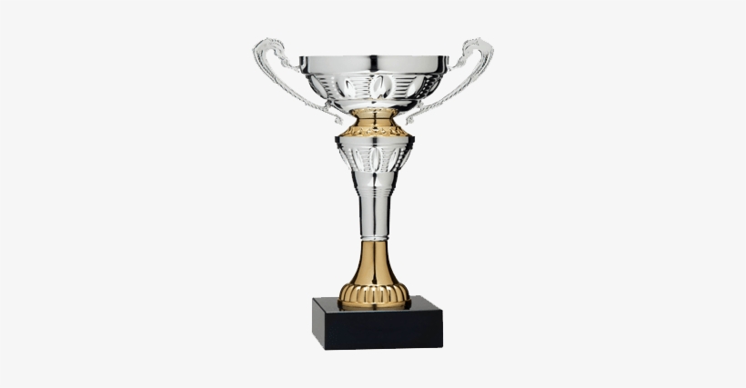 Sports Winner Certificate Format, transparent png download