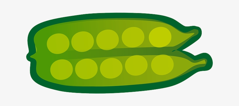 Vegetable Clipart Pea - Dibujos De Vegetales A Colores, transparent png download