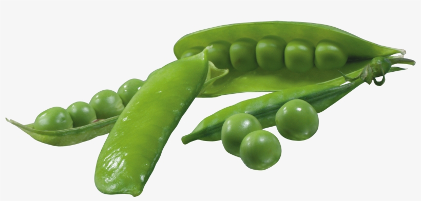 Pea Png - Vegetables Png, transparent png download