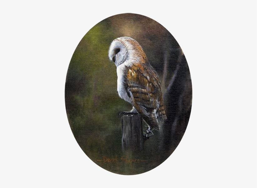 Oil Painting Of A Barn Owl Perched On A Post - Barn Owl, transparent png download