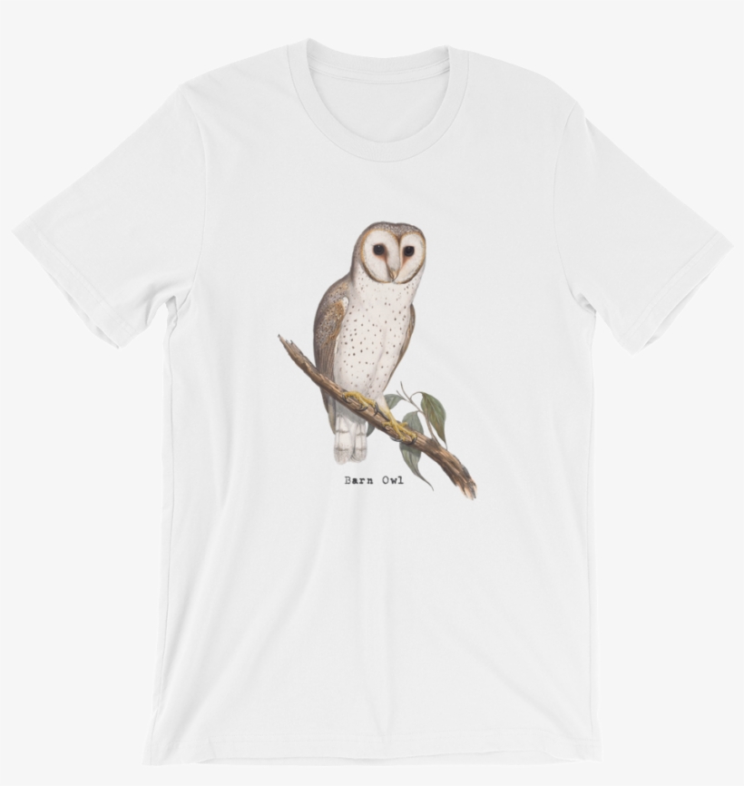 Barn Owl Vintage/unisex T-shirt - Australian Predators Of The Sky [book], transparent png download