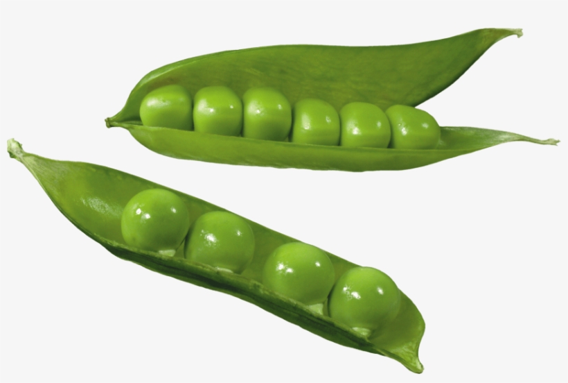 Free Png Pea Png Images Transparent - Green Peas Vegetables Clipart, transparent png download