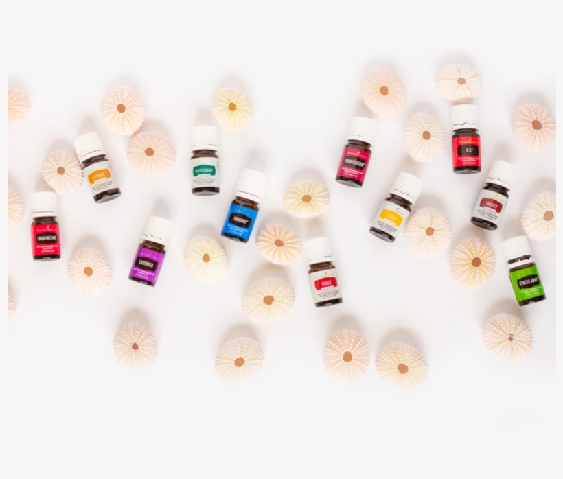 Cotton, transparent png download