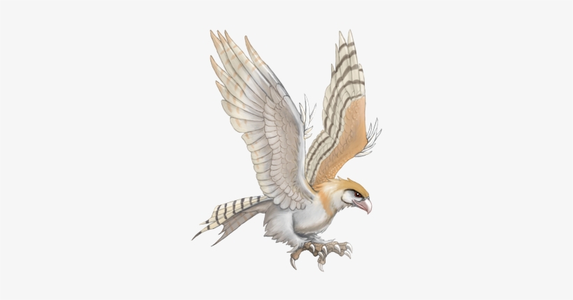 Roc Barnowl - Red-tailed Hawk, transparent png download