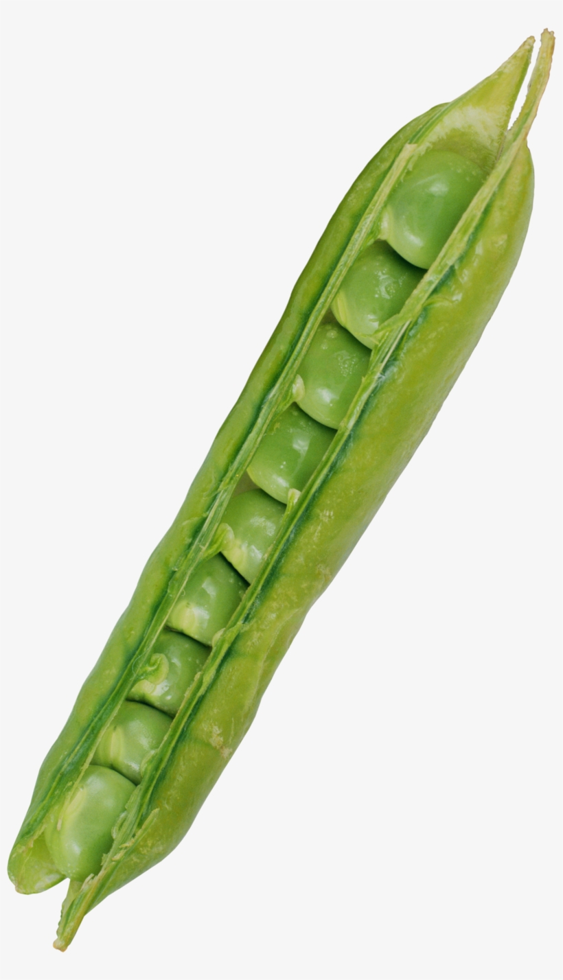 Free Png Pea Png Images Transparent - Vegetable, transparent png download