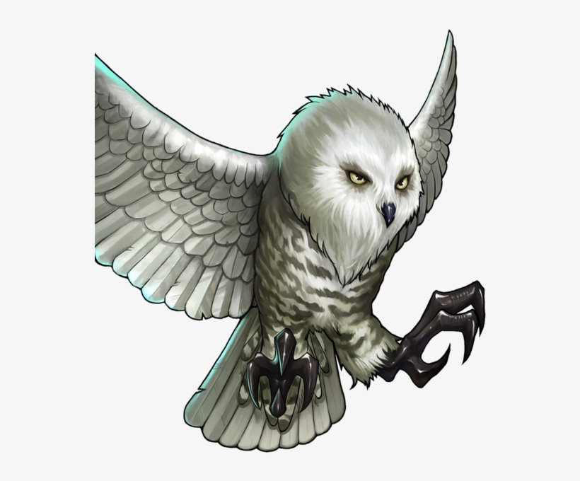 240 × 240 Pixels - Snowy Owl, transparent png download