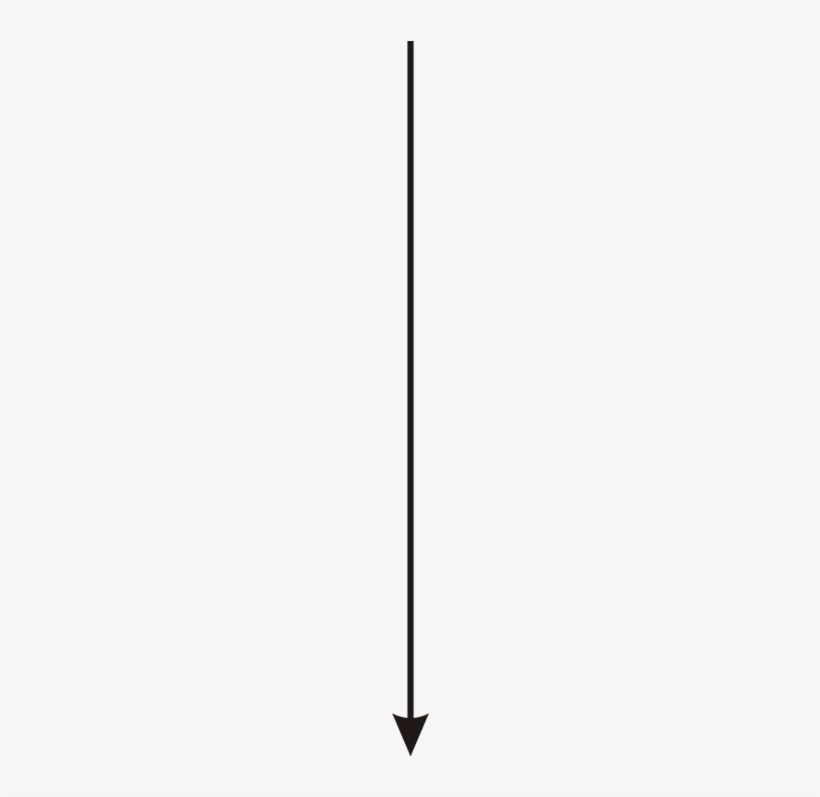 Down Arrow - Parallel, transparent png download