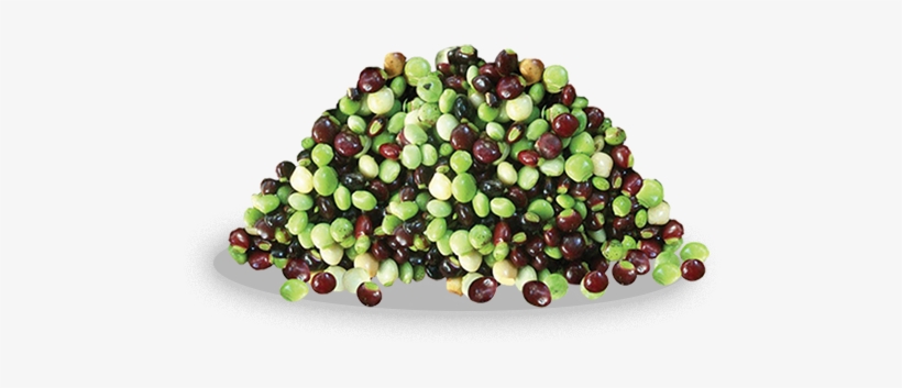 Pea, transparent png download