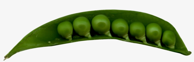 Green Pea, transparent png download