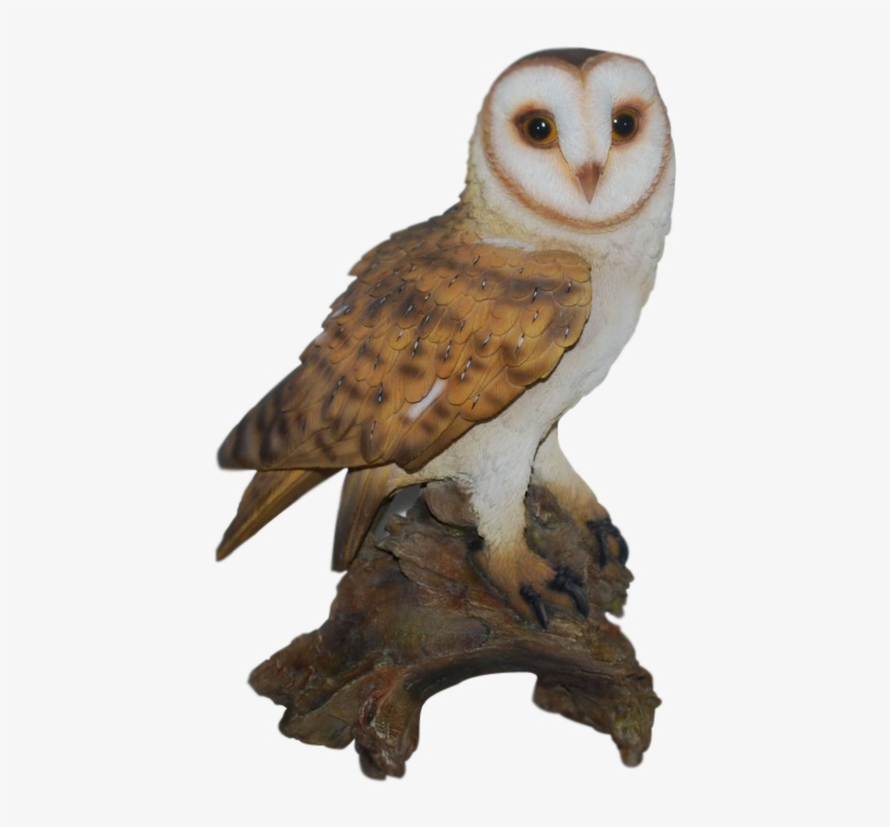 Tap To Expand - De Figura De Lechuza De Resina, transparent png download