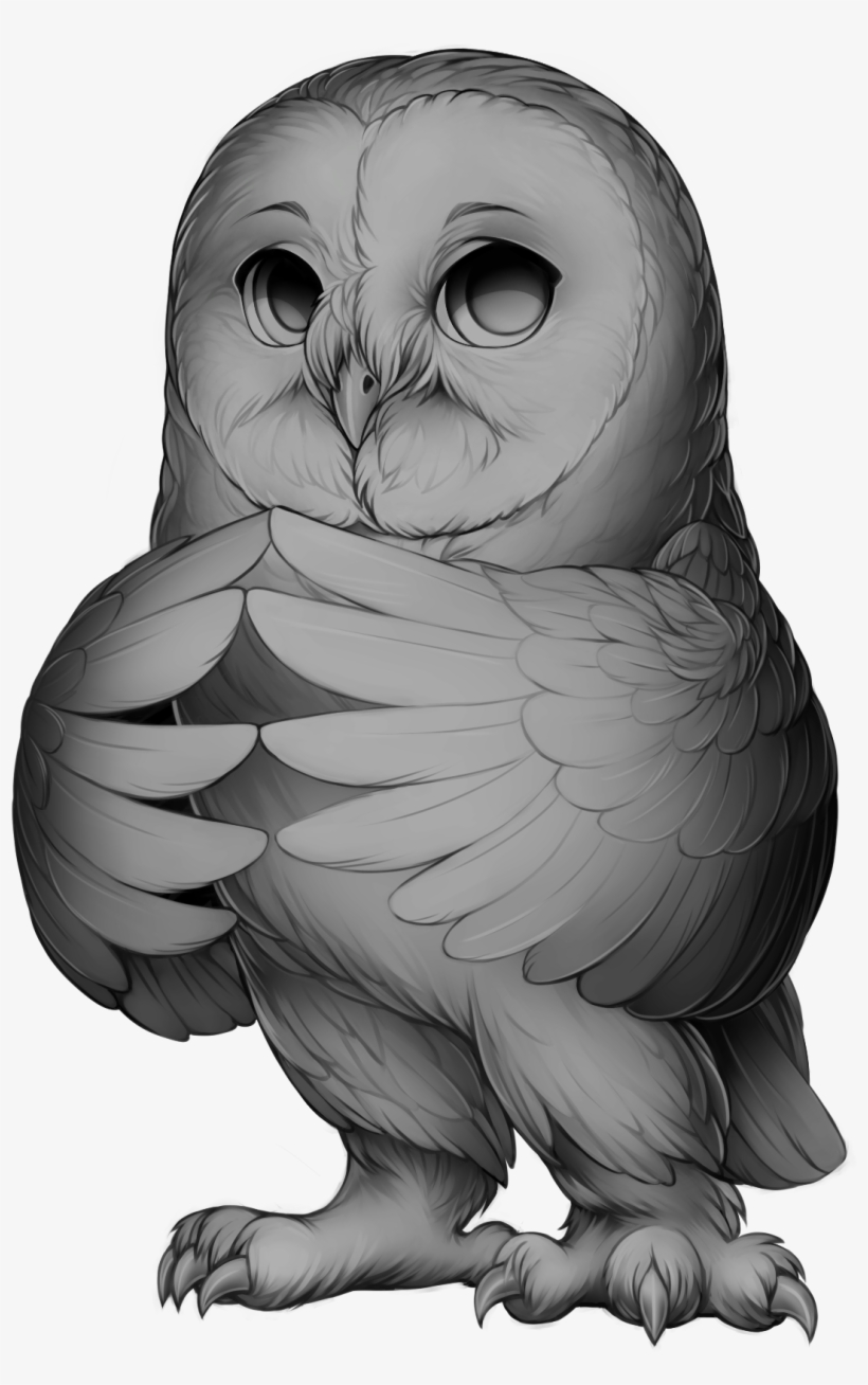 Owl Grey, transparent png download