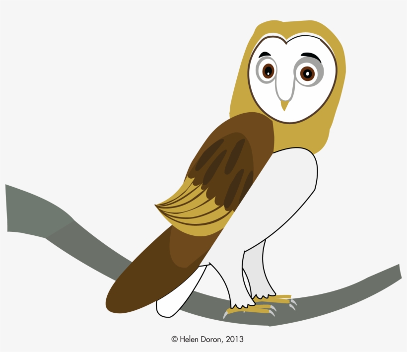 Barn Owl Gyöngybagoly, transparent png download