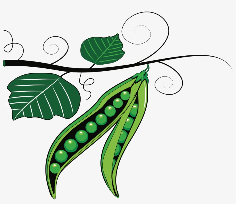 Big Image - Clip Art Peas, transparent png download