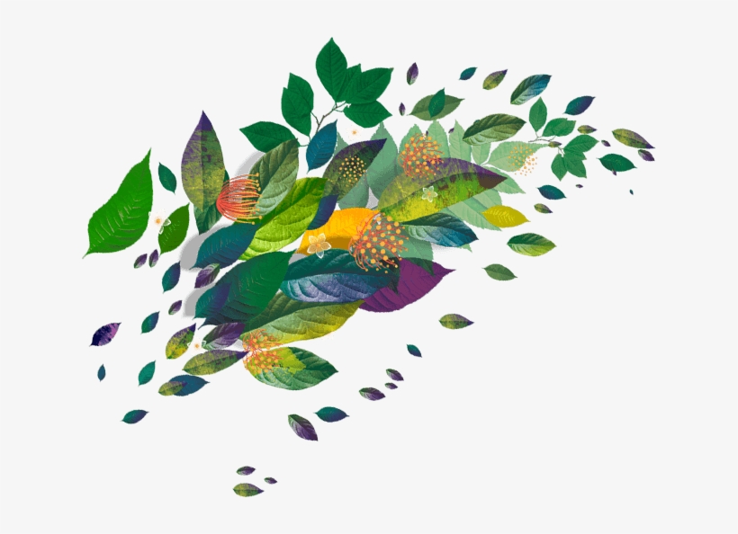 We Challenge You To Stop Drinking Coffee For 30 Days - Guayusa Png, transparent png download