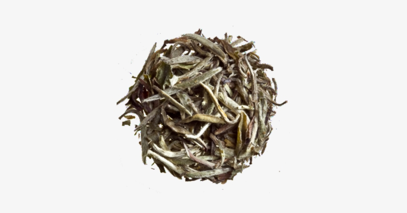 Organic Silver Needles - White Tea, transparent png download
