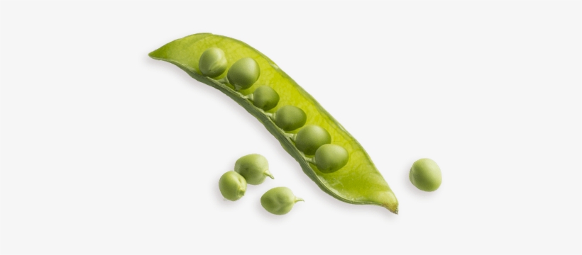 Peas - Ingredient, transparent png download