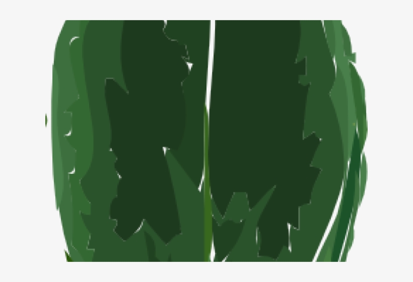 Green Leaves Clipart Tea Leaf - Illustration, transparent png download