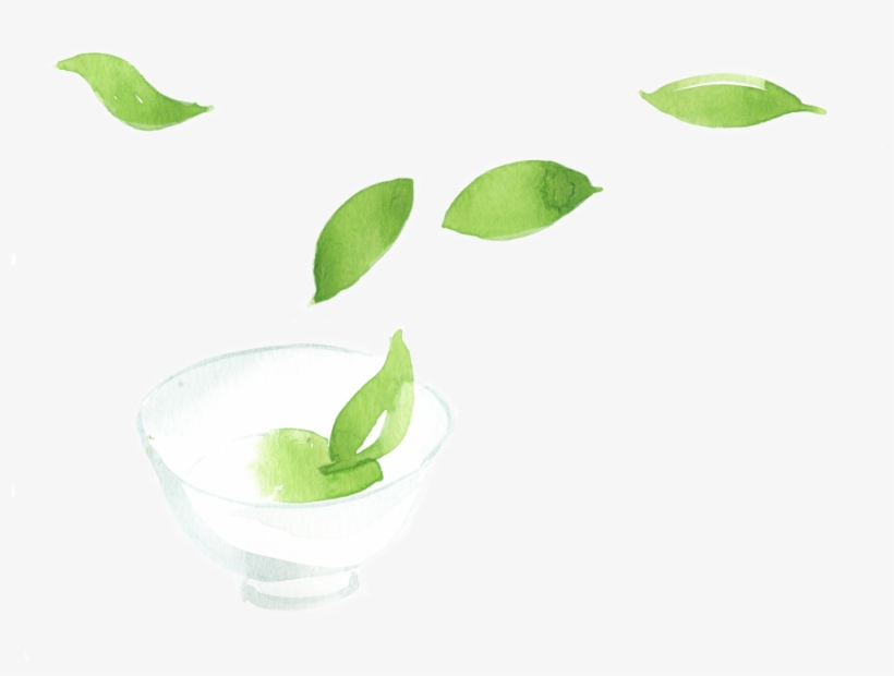 Shop Tea - Still Life Photography, transparent png download