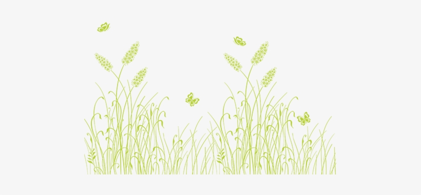 Grass Background - Heritage Coast, transparent png download