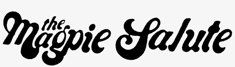 The Magpie Salute - You Cannot Be Serious!: The 101 Most Infuriating Things, transparent png download