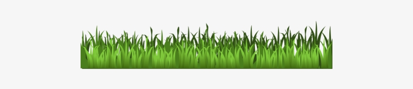 Meadow Green Isolated Stock - Transparent Background Grass Clipart, transparent png download