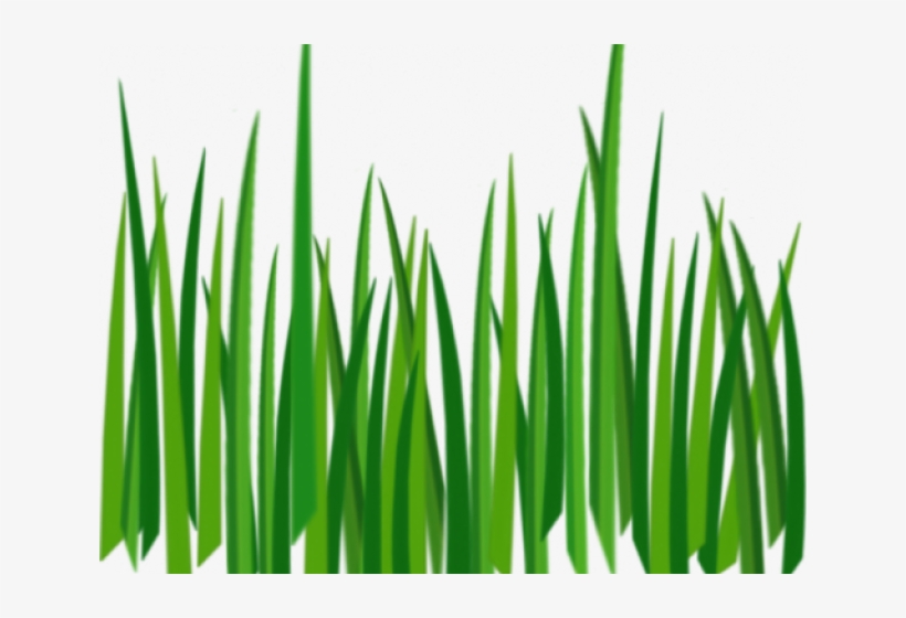 Grass Clipart No Background - bmp-system