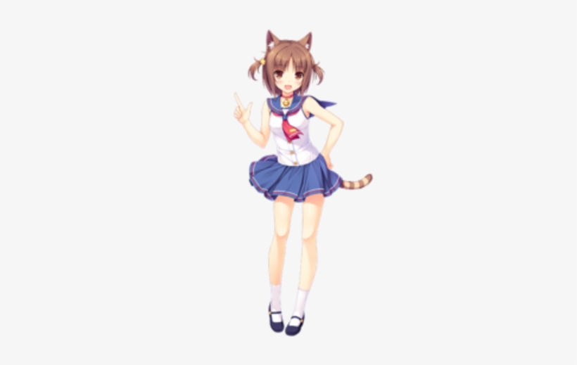 Youngadult - Azuki Nekopara, transparent png download