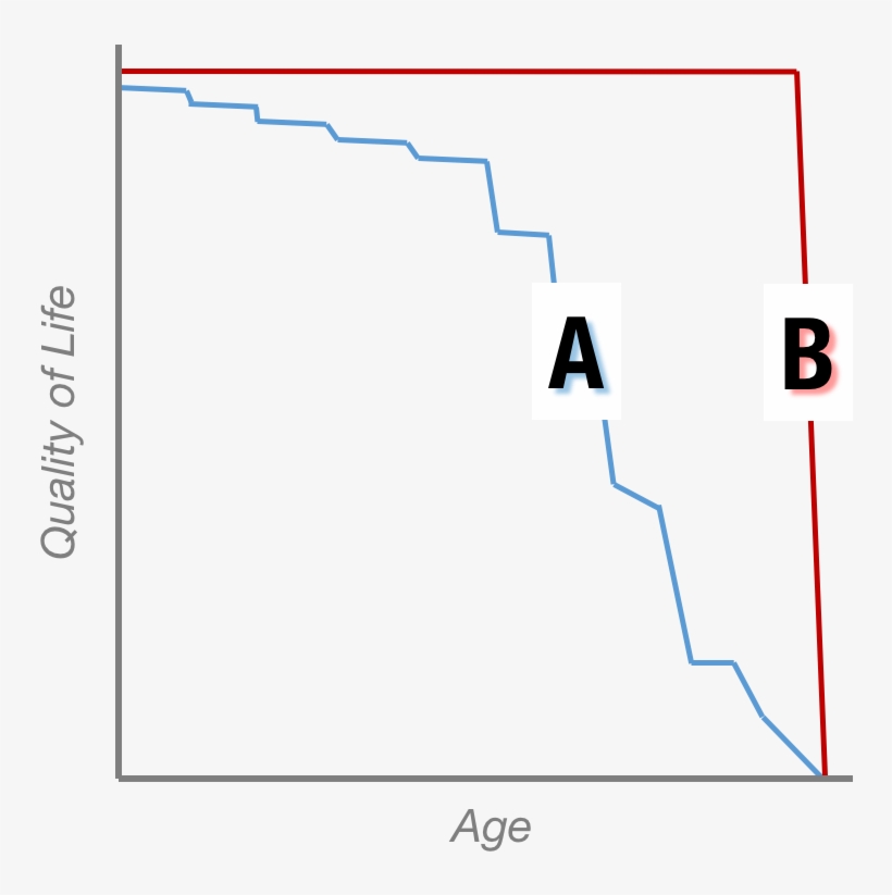 The Goal Of Personalized Medicine, As Larry Sees It, - Bsi Group, transparent png download