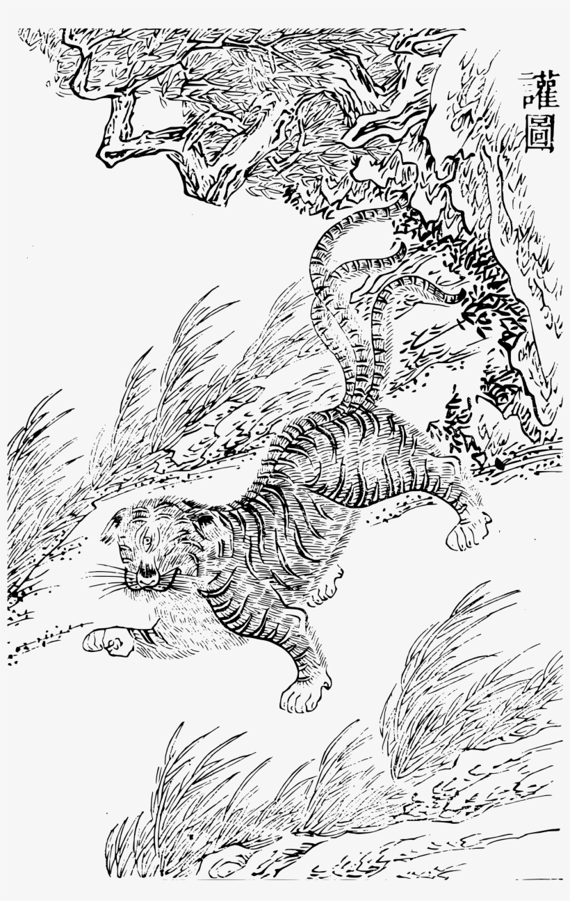 File - Imperial Encyclopaedia - Animal Kingdom - Pic255 - Encyclopedia, transparent png download