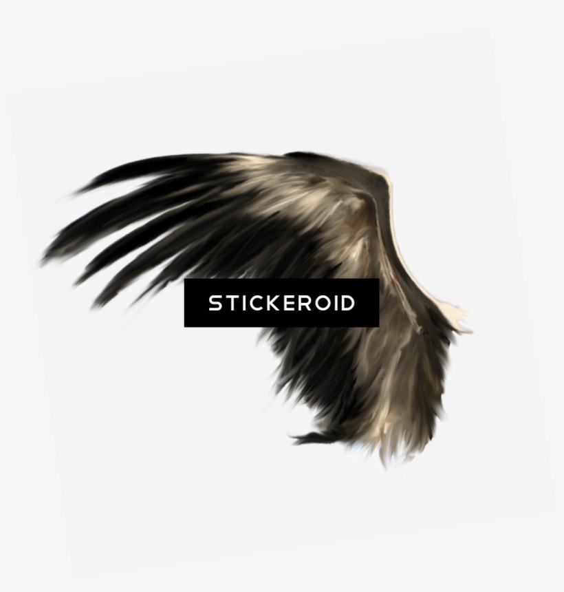 White Angel Wings - Picsart Photo Studio, transparent png download