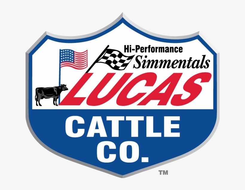 On Dark Backgrounds - Lucas Oil T Shirt, transparent png download