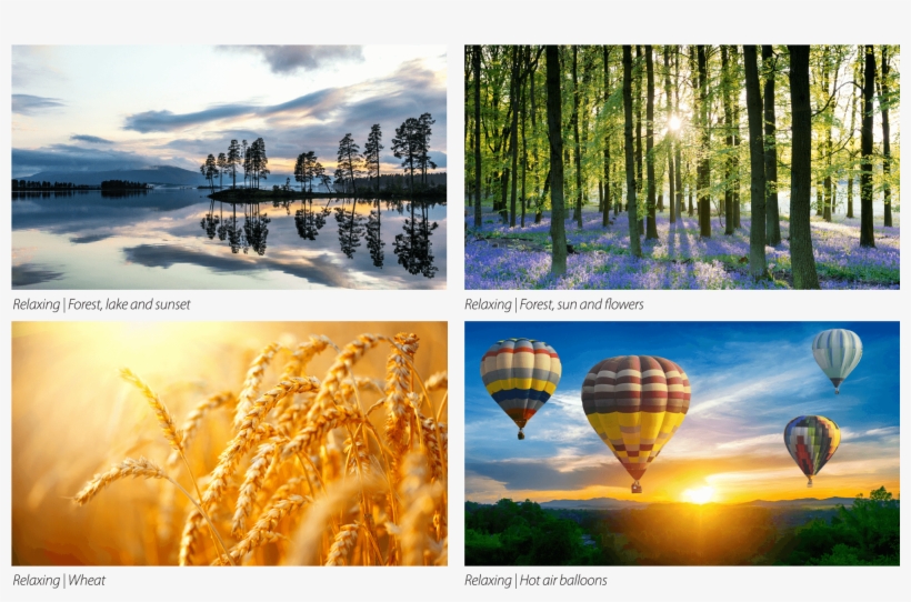 Photo Panels - Il Chicco Di Grano. I Frutti Squisiti Della Purificazione, transparent png download