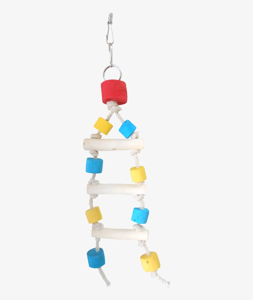 Kskrwl003 - Earrings, transparent png download