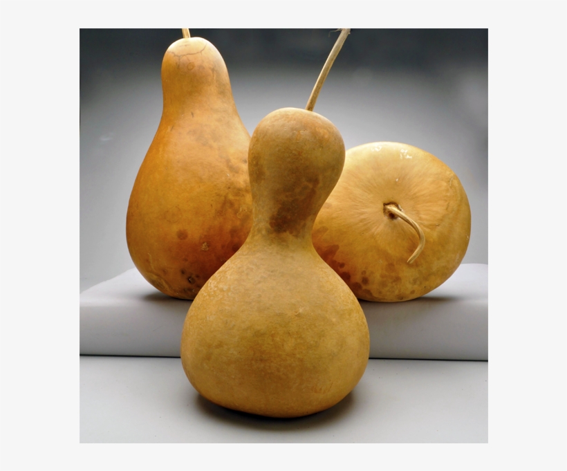 Pre-boxed Clean Mix Shape Gourds - Shape, transparent png download