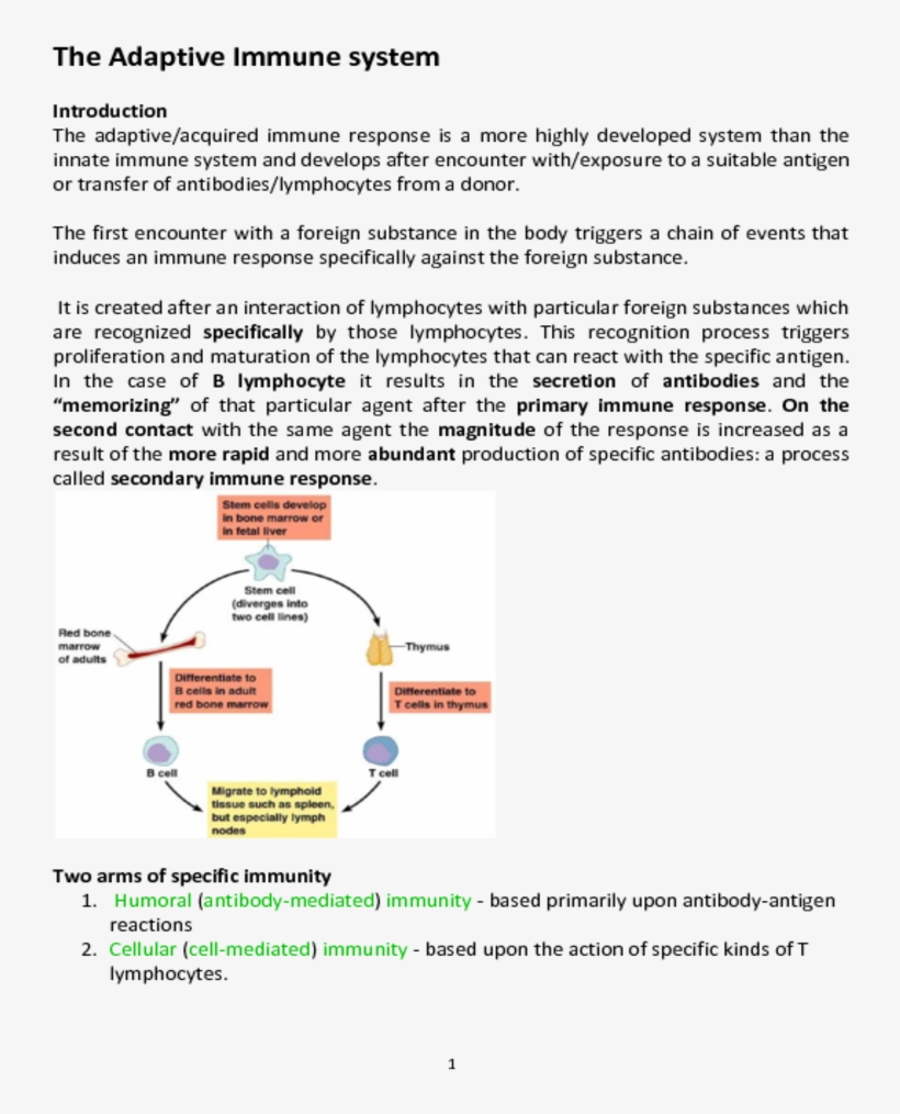 Document, transparent png download