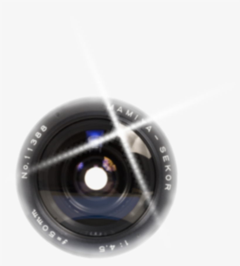 Photography, transparent png download