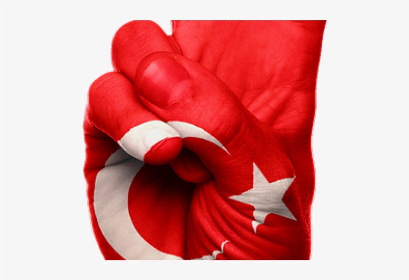 Coquelicot, transparent png download