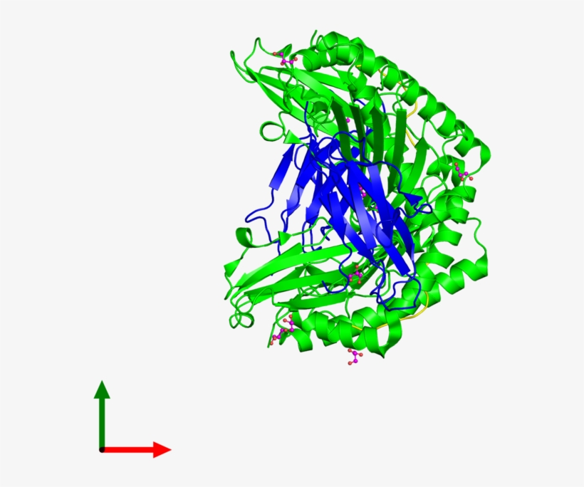 <div Class='caption-body'><ul Class ='image Legend - Illustration, transparent png download