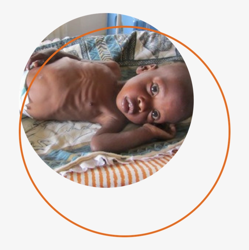 Leon - Portable Network Graphics, transparent png download