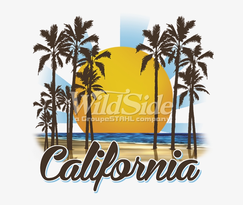 California Sunny Beach Stock Transfer - Design, transparent png download