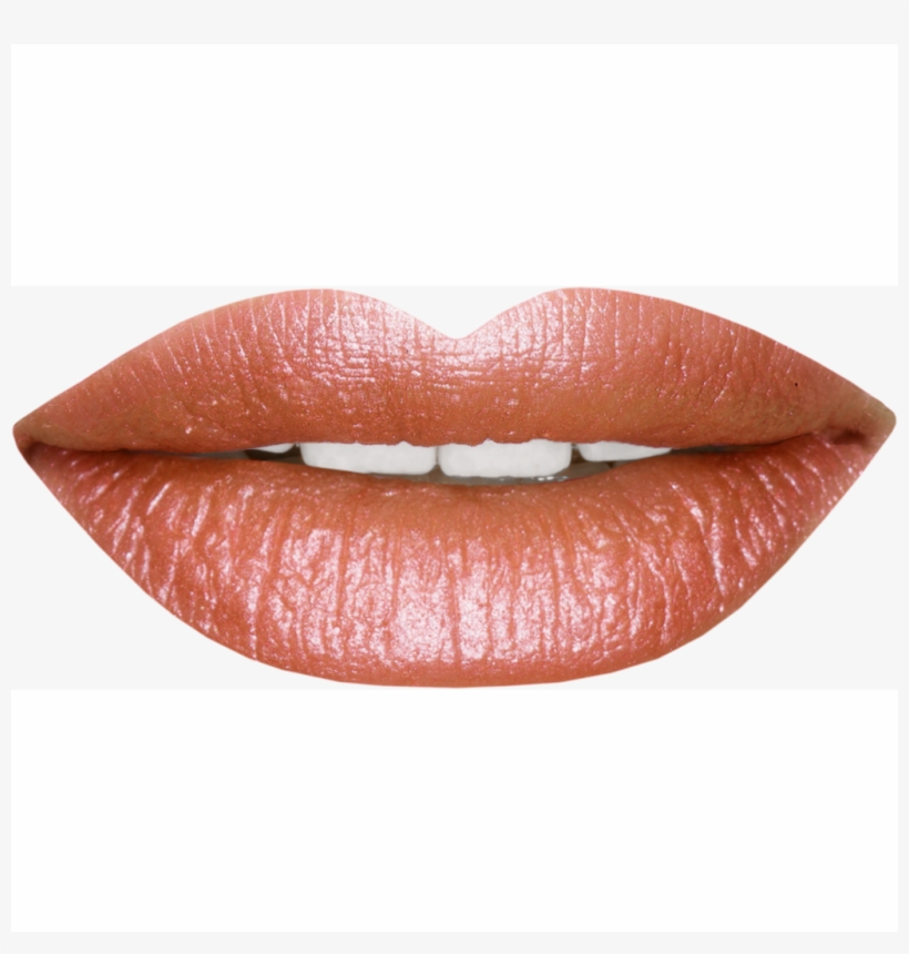 Bronze Beauty 3 Piece Lip Kit 3pc Lipkit Star Struck - Lips, transparent png download