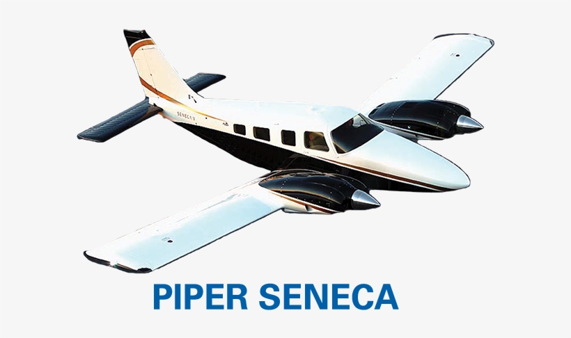 Piperseneca - Model Aircraft, transparent png download