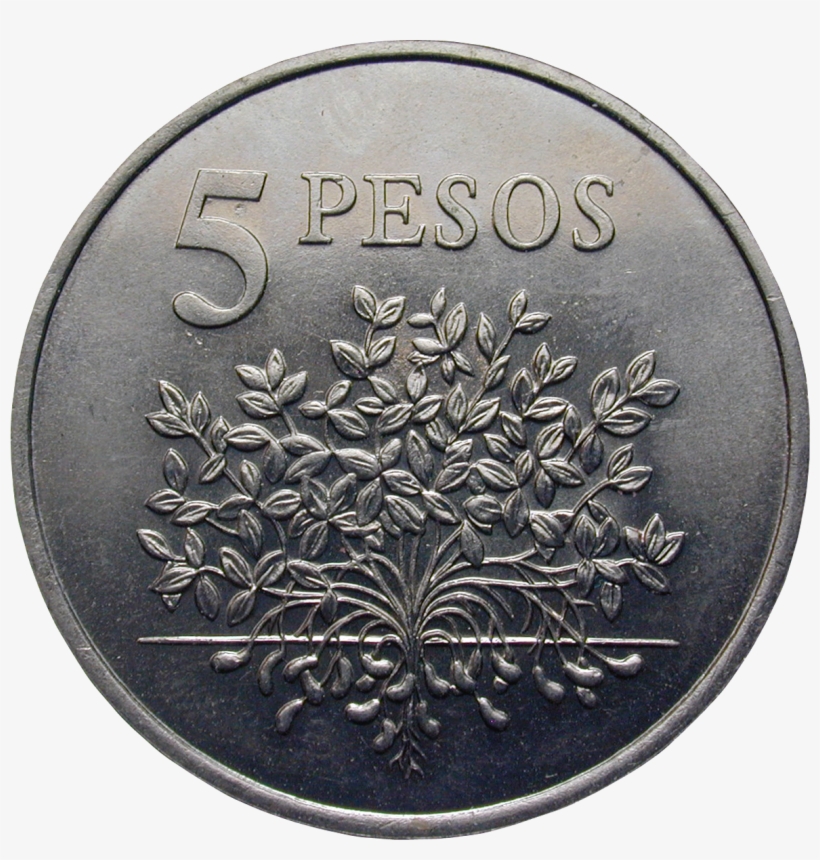 Pesos Png Langhanteln Gewichtsstangen Gewichte Fitnessartikel - Coin, transparent png download