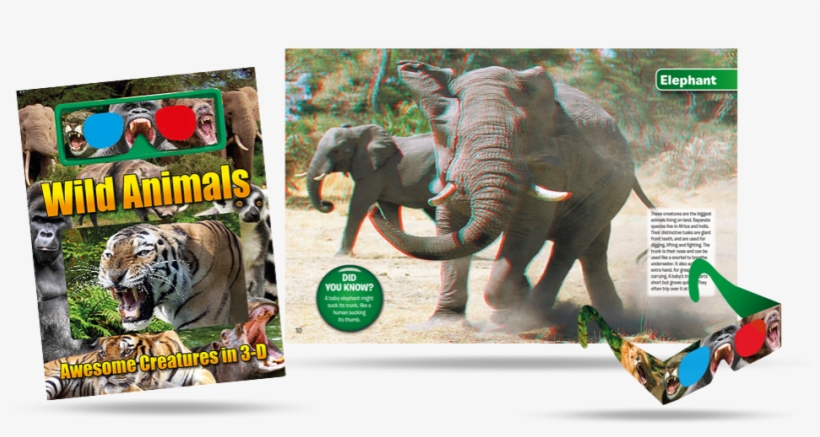 Go Wild As You Discover Some Of Nature's Most Amazing - Exploring Nature Incredible Elephants By Barbara Taylor, transparent png download