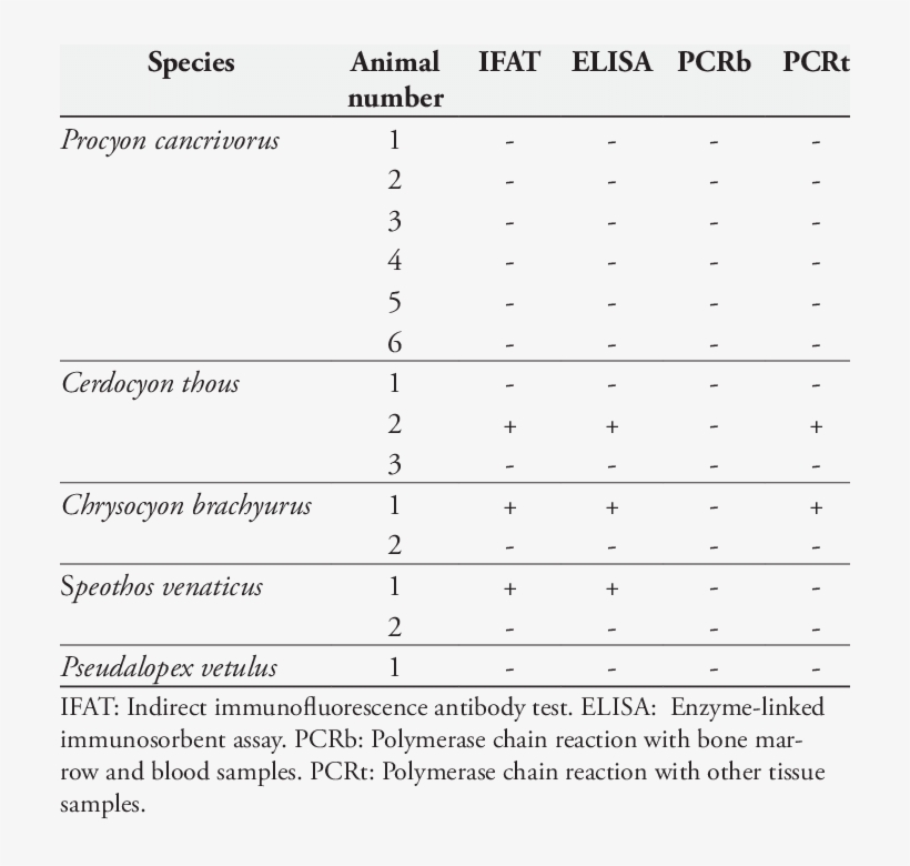 Results From Serological And Molecular Tests To Detect - Sh Sy5y Ho 1 Beta Amyloid, transparent png download