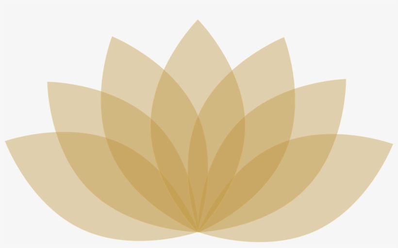 Bristol Website Design - Alès, transparent png download