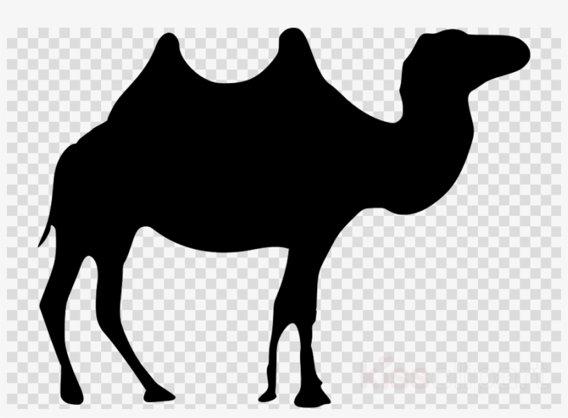 Black Camel Png Clipart Dromedary Clip Art - Clip Art, transparent png download