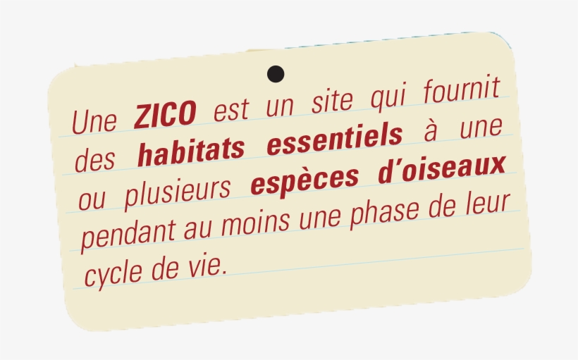 Ce Programme Vise À Identifier, Surveiller Et Protéger - Job, transparent png download