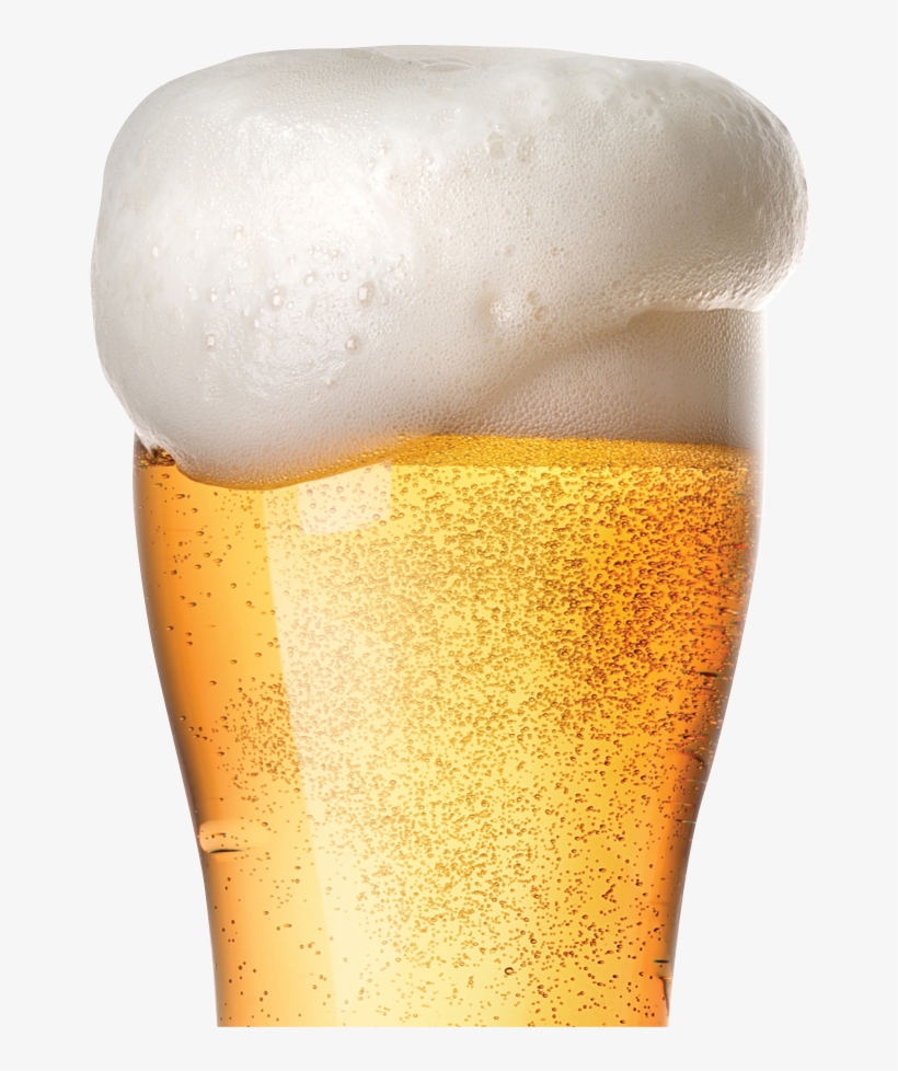 Beer, transparent png download