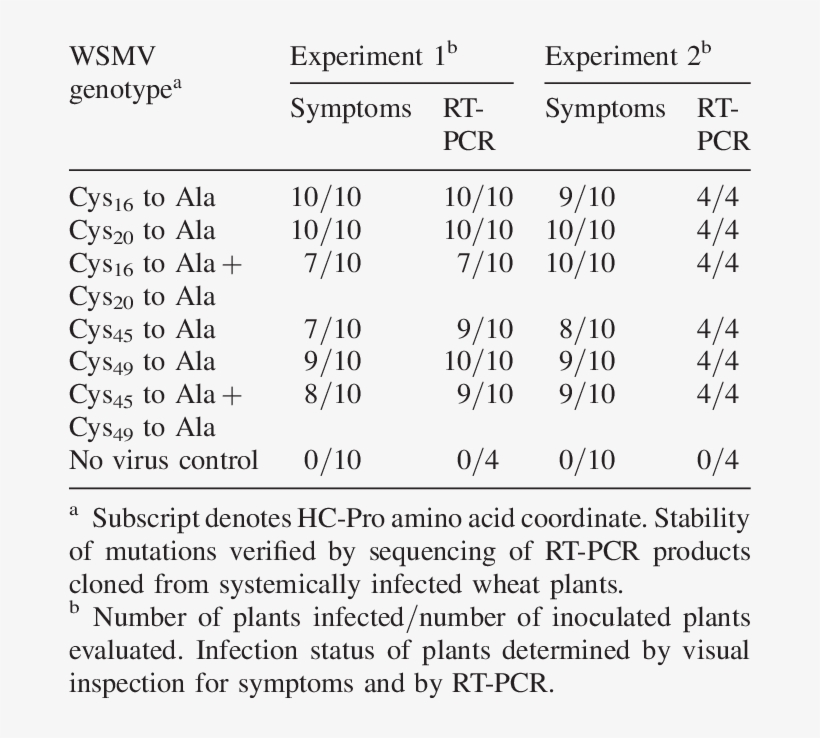 Infectivity Of Wheat Streak Mosaic Virus With Cys Teine - Psychology, transparent png download